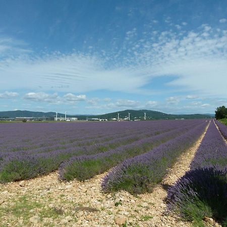 RoussasNotre Vie La住宿加早餐旅馆 外观 照片